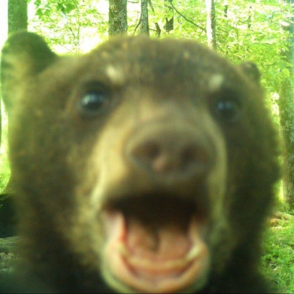 Meet your Posher, T - Picture 1 of 1